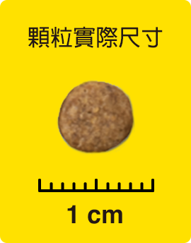 顆粒實際尺寸