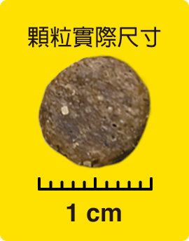 顆粒實際尺寸