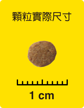 顆粒實際尺寸