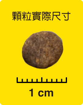 顆粒實際尺寸