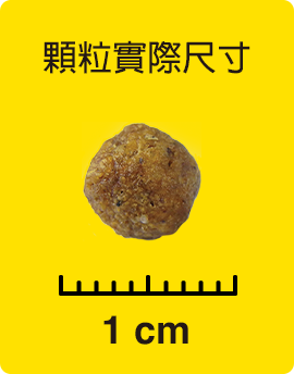 顆粒實際尺寸