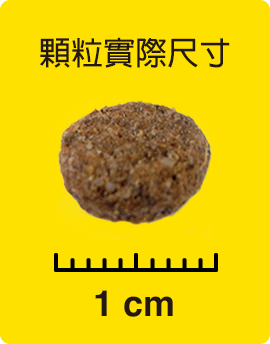 顆粒實際尺寸