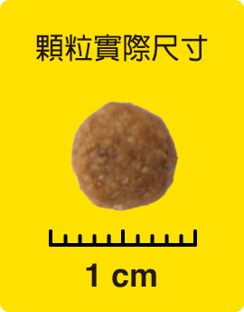 顆粒實際尺寸