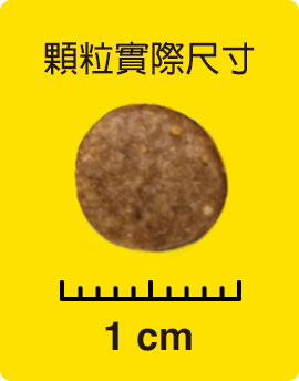 顆粒實際尺寸