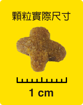 顆粒實際尺寸