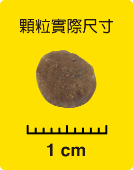 顆粒實際尺寸