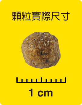顆粒實際尺寸