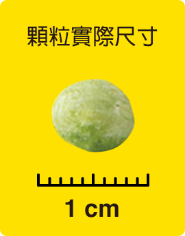 顆粒實際尺寸