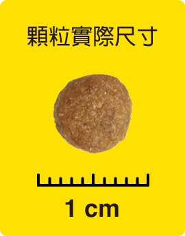 顆粒實際尺寸