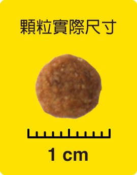 顆粒實際尺寸
