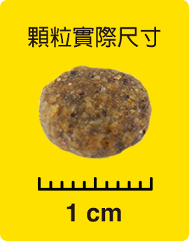顆粒實際尺寸