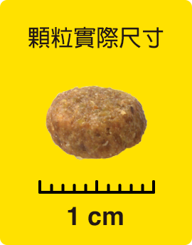 顆粒實際尺寸
