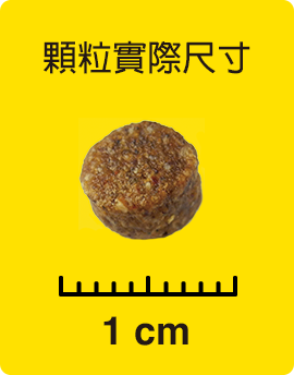 顆粒實際尺寸