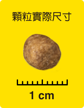 顆粒實際尺寸