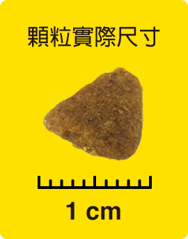 顆粒實際尺寸