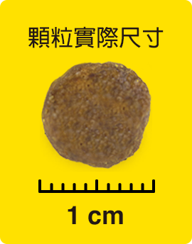 顆粒實際尺寸