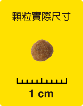 顆粒實際尺寸