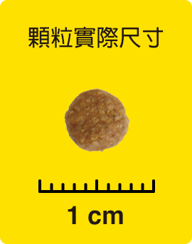 顆粒實際尺寸