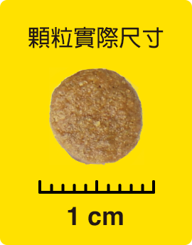 顆粒實際尺寸