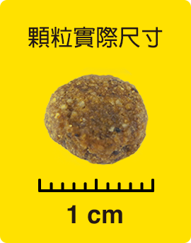 顆粒實際尺寸
