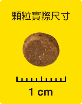 顆粒實際尺寸