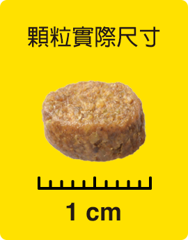 顆粒實際尺寸