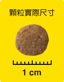 顆粒實際尺寸