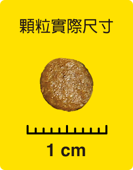 顆粒實際尺寸